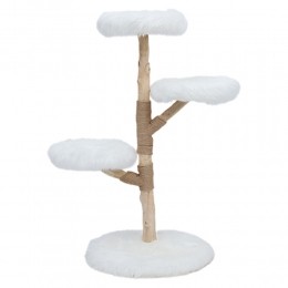BoonyEst1941KlimboomFagusPolarWhite129cm