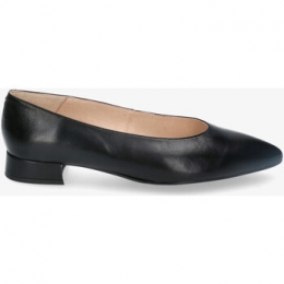 PumpsBloomampYouDAFNE