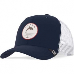 PetHanukeiiDolphinTruck