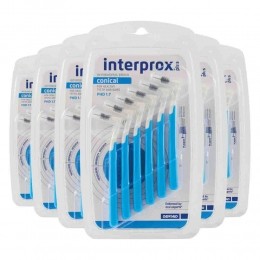 6xInterproxRagersPlusConicalBlauwPHD176stuks