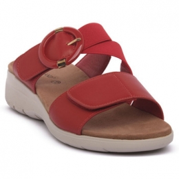 SlippersGrunlandROSSOC9DEMA