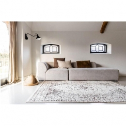 Interieur05VintagevloerkleedAryabruinbeige-225x160cm