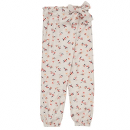 HarembroekNameitNMFDELFIN