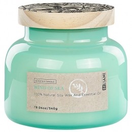 Beliani-DELIGHTBLISS-Geurkaars-Blauwgroen-Sojawax