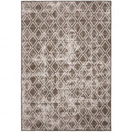 EvaInteriorBuitenkleedBruinFrost200x290cm
