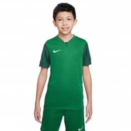 NikeDri-FITTrophyVTrainingsshirtKidsGroenWit