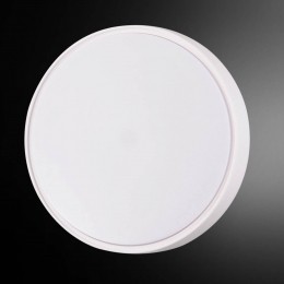 FabasLuceLichtbrandendeLED-wandlampHattonIP6530cm