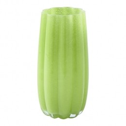 POLSPOTTENMelonVaas-M-Green