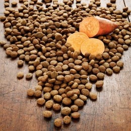 alsa-natureEendZoeteaardappelgranenvrij6kg