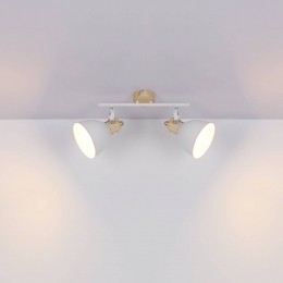 GloboPlafondlampWihovanmetaalwithoutoptiek2-lamps