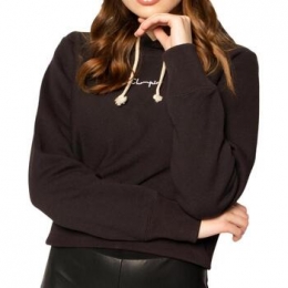 SweaterChampion-