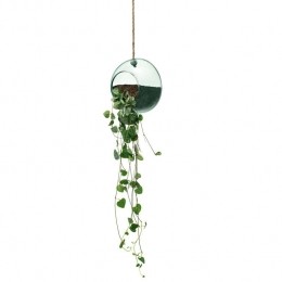 LSA-CanopyPlantenhanger12cm