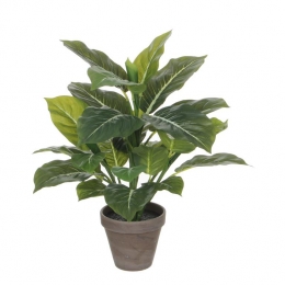 MicaDecorationsEvergreenKunstplant-H49x40cm-Groen