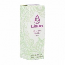 SjankaraAlladinSynergie11ml