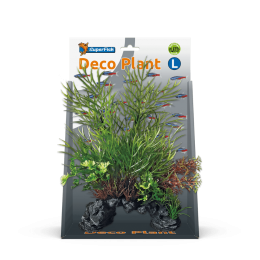 Superfishdecoplantlceratopteris-Superfish