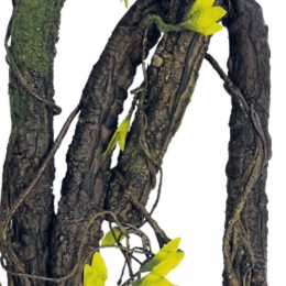ReptoAquadistriplantclimbing190cm-Aquadistri
