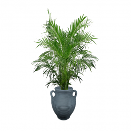 Atheensgrijs35Lplantenbak-Prestige