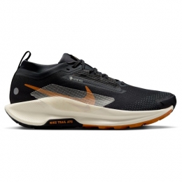 Nike-PegasusTrail5GORE-TEX-Trailrunningschoenenmaat11zwart