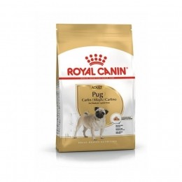 RoyalCaninBhnCaninePug15kg