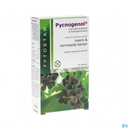 FytostarPycnogenolCaps307587