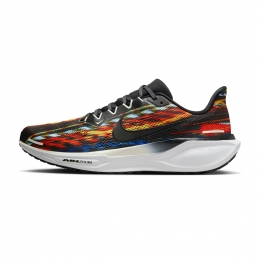 NikePegasus41heren