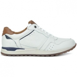 SneakersKangaroos37849