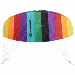 SchildkrtFunSports-DualLineSportKite13multicolour