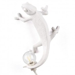 ChameleonGoingUpwandlampUSB