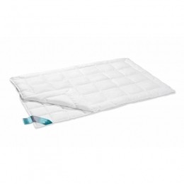 VandyckThermoduo4seizoenendekbed