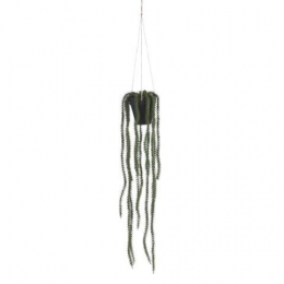 Rhipsalishangendinpotgroen-l62xd9cm-Micadecorations
