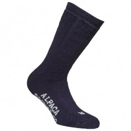 AlpacasocksCo-Alpacasocks2-Pack-Multifunctionelesokkenmaat39-42blauw