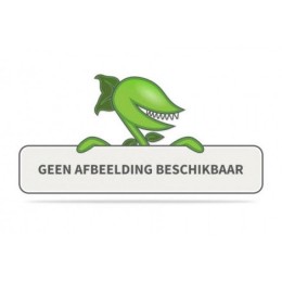 Bamboenietwoekerend100-110cm-Urbanstreetforest
