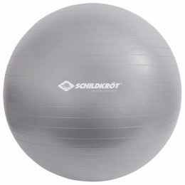 SchildkrtFitness-Gymnastikball-Functionaltrainingmaat85cmgrijs