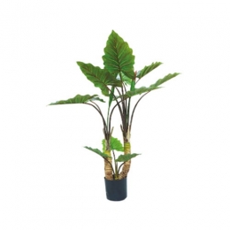 KunstplantAlocasiaDubbel120cm-Buitengewoondeboet