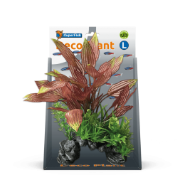 Superfishdecoplantlhenkelianus-Superfish