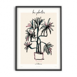 PSTRstudio-Zoe-LesPlantes-laposintrieur