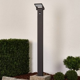 LucandeLEDtuinpadverlichtingMariusmetsensor100cm