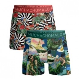 Muchachomalo2stuksJackBeanAliceWonderBoxerActie