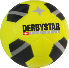 DerbystarMinisoftbal