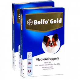BolfoGold40hond4kilo2pip