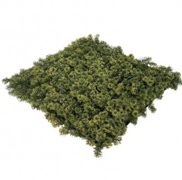EasyLawnGrassKunstplantenmatwandplantkunststofMoss1m2-Easylawngrass
