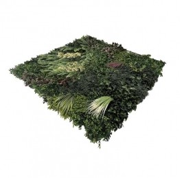 EasyLawnGrassKunstplantenmatwandplantkunststofForest1m2-Easylawngrass