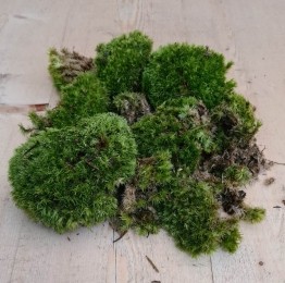 Bolmosinbakjezakje-Warentuinnatuurlijk