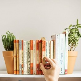 SuckUKBloempotBoekensteun