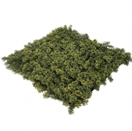 EasyLawnGrassKunstplantenmatwandplantkunststofMoss1m2-Easylawngrass