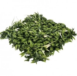 EasyLawnGrassKunstplantenmatwandplantkunststofFresh1m2-Easylawngrass
