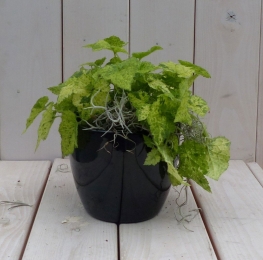 Kindjeopmoedersschootinzwarteantracietepot25cm-Warentuinnatuurlijk