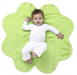 WrapperFleurLilyGreen