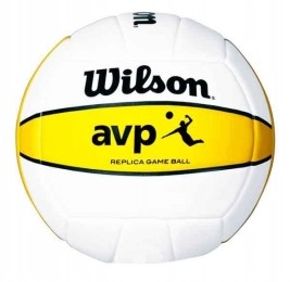 WilsonAVPVolleybalWitGeel