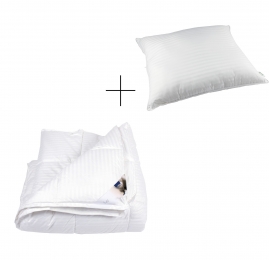 Liv4-seizoenendekbedkussen